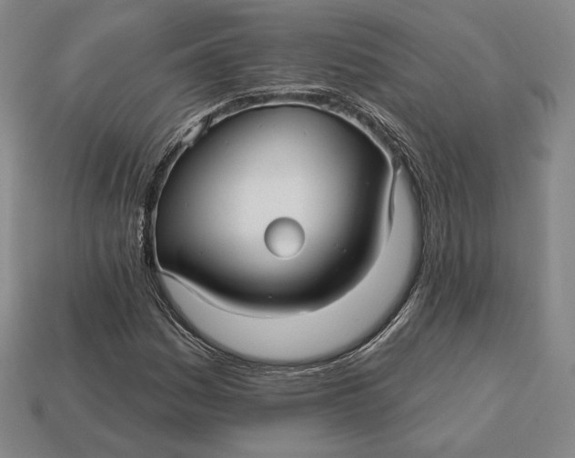 X0000113121161200909181643