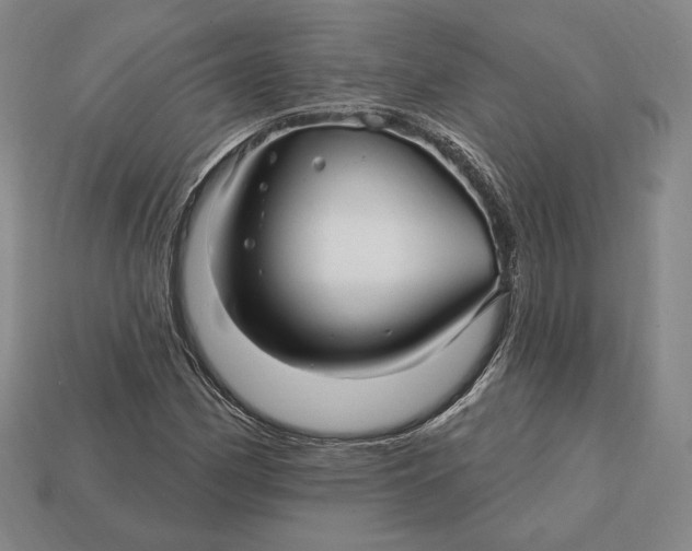 X0000113121162200909181643