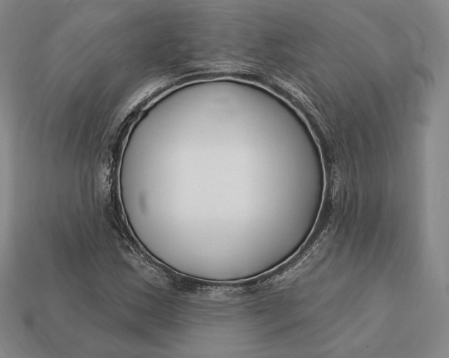 X0000113121163200909181643