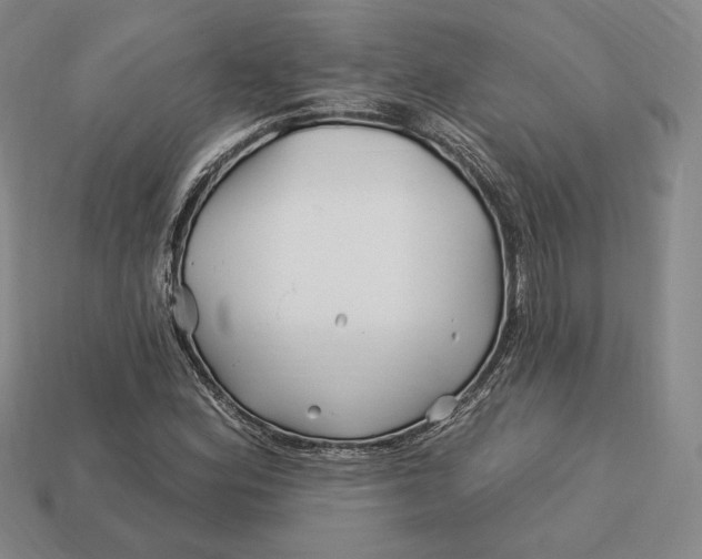 X0000113121164200909181643