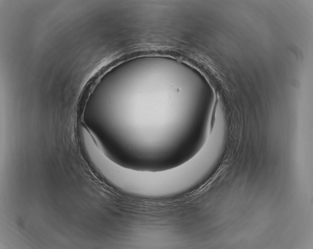 X0000113121165200909181643