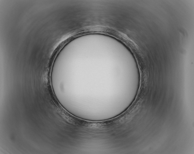 X0000113121166200909181643