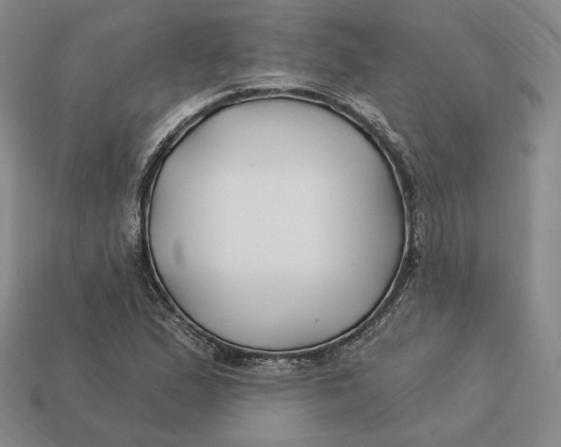 X0000113121167200909181643