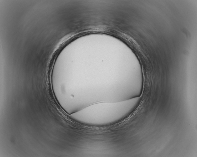 X0000113121168200909181643