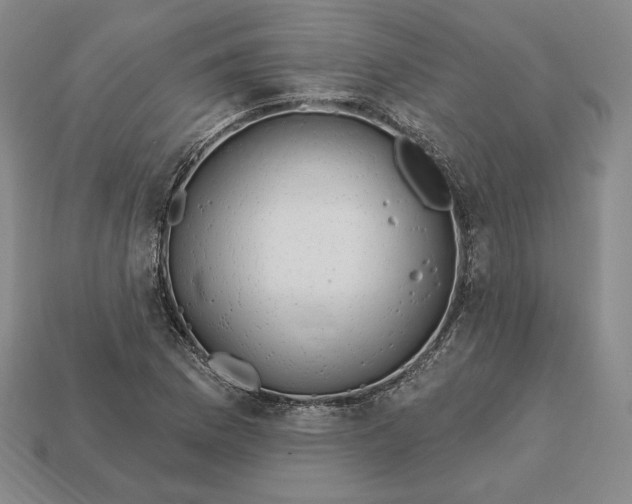 X0000113121169200909181643