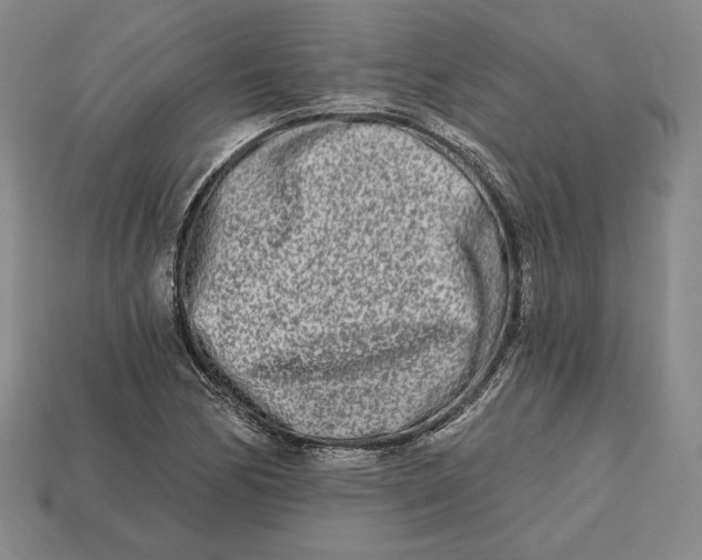 X0000113121170200909181643