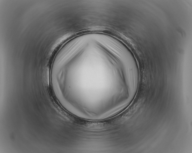 X0000113121171200909181643