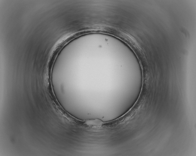 X0000113121172200909181643