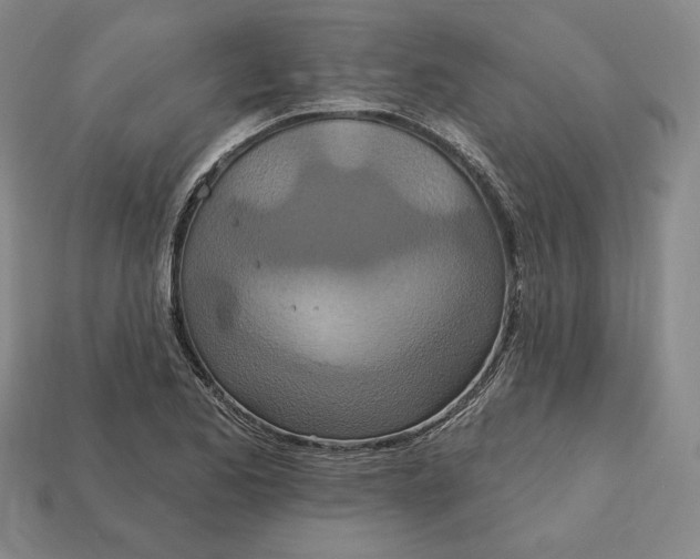 X0000113121173200909181643