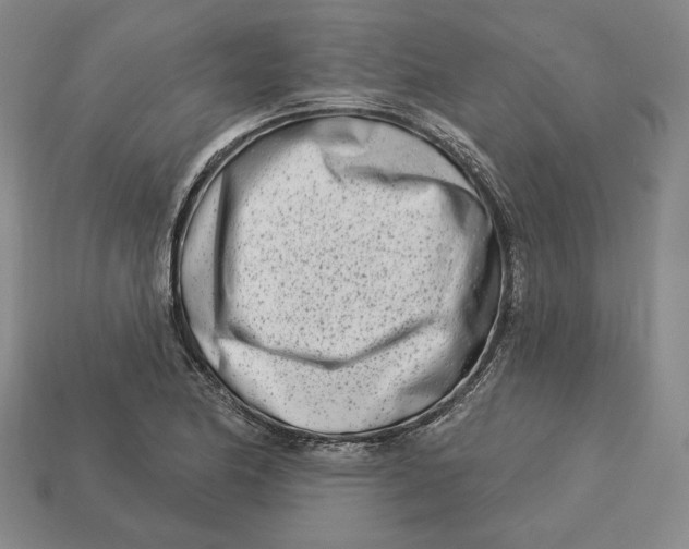 X0000113121174200909181643