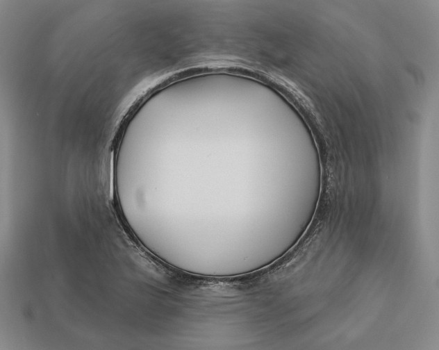 X0000113121175200909181643