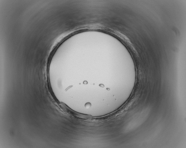 X0000113121176200909181643