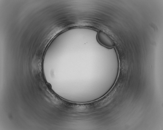 X0000113121177200909181642