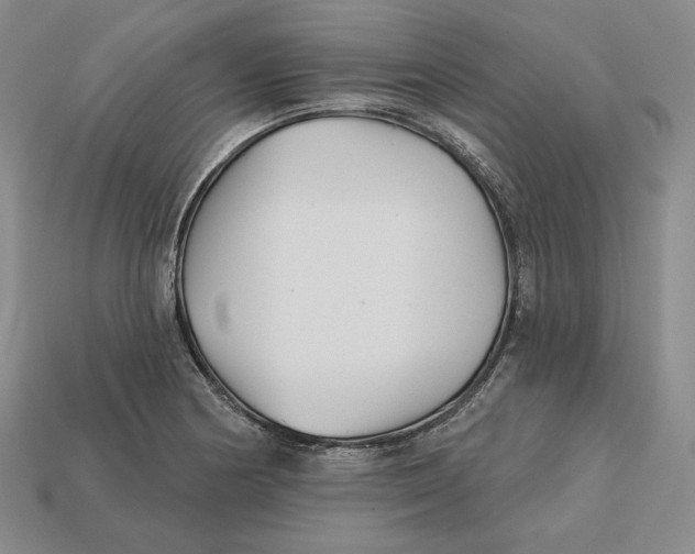 X0000113121178200909181642