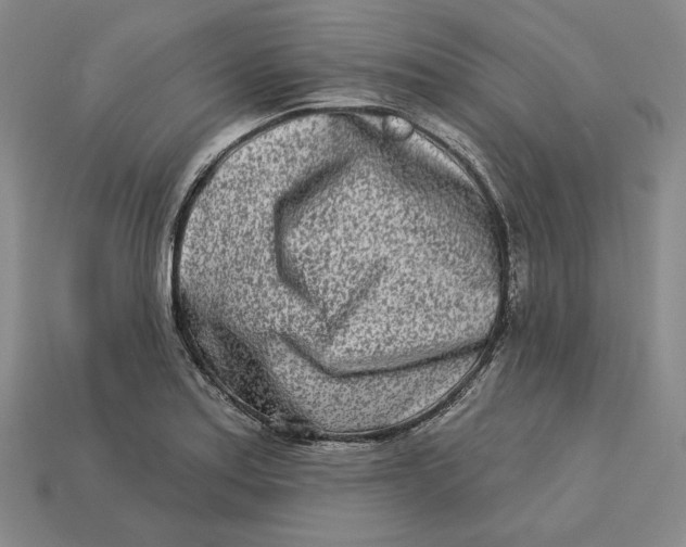 X0000113121179200909181642