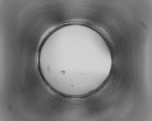 X0000113121180200909181642