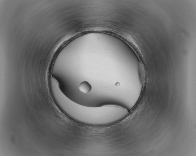 X0000113121181200909181642