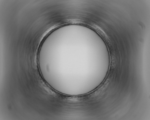 X0000113121182200909181642