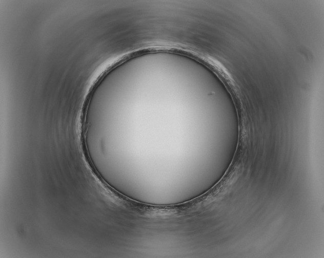 X0000113121183200909181642