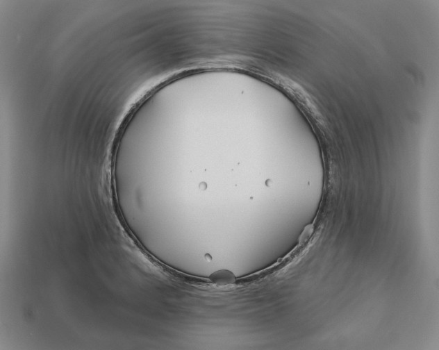 X0000113121184200909181642