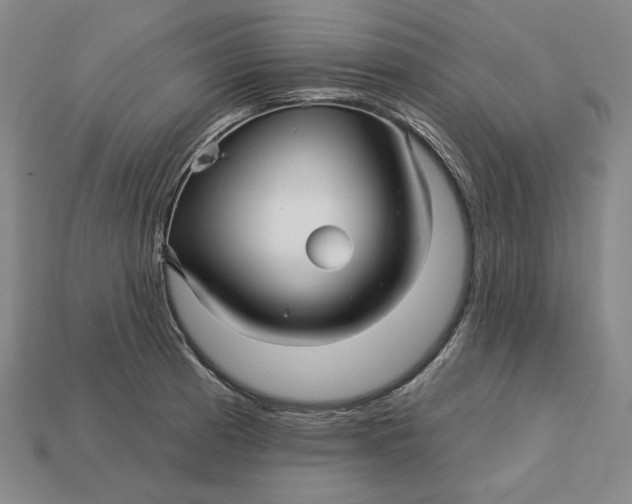 X0000113121185200909181642