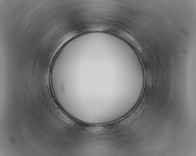 X0000113121186200909181642