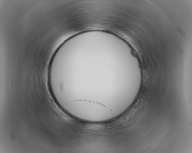 X0000113121187200909181642