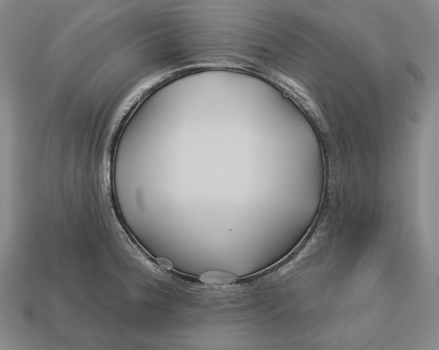 X0000113121188200909181642