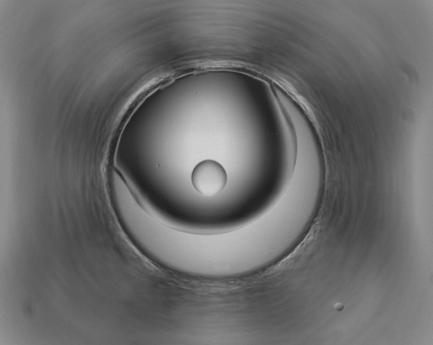 X0000113121189200909181642