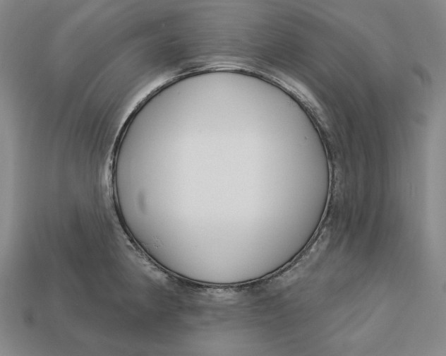 X0000113121190200909181642