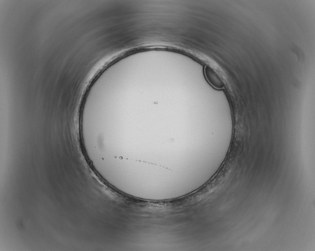 X0000113121191200909181642