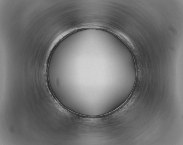 X0000113121192200909181642