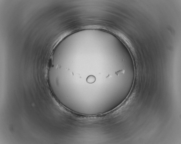 X0000113121193200909181642