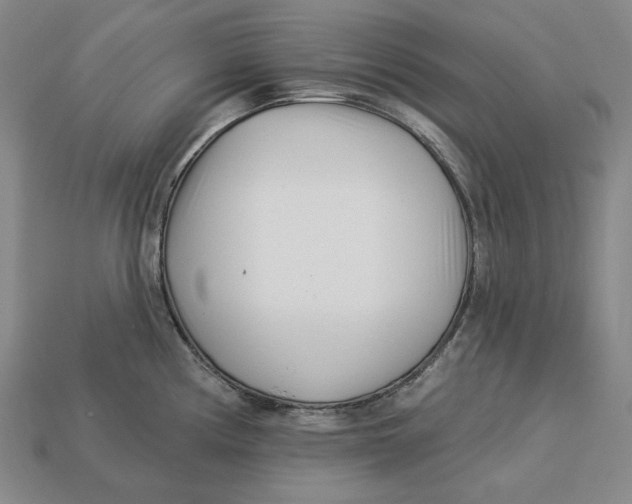 X0000113121194200909181642