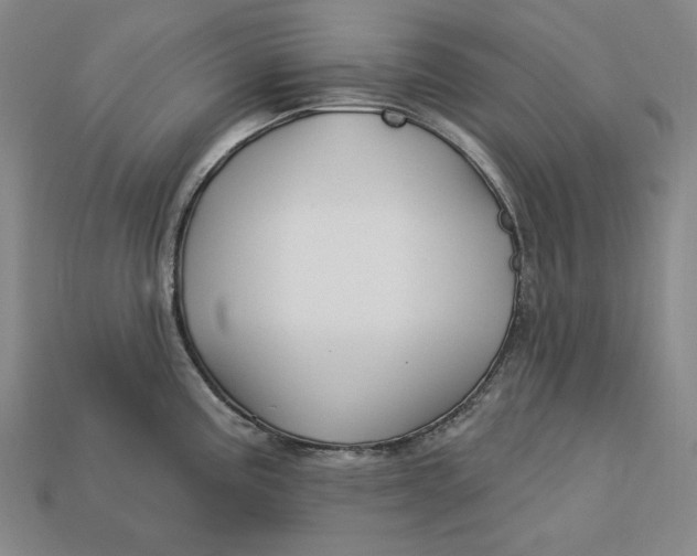 X0000113121195200909181642