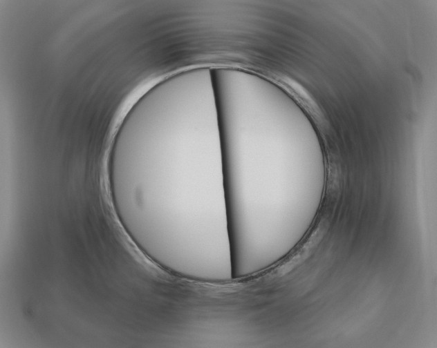 X0000113121196200909181642