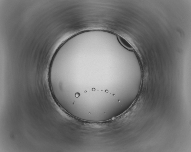 X0000113121197200909181642