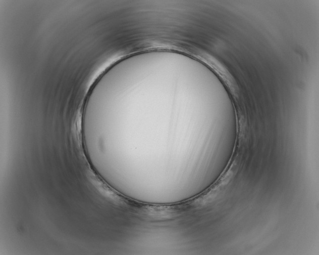 X0000113121198200909181642