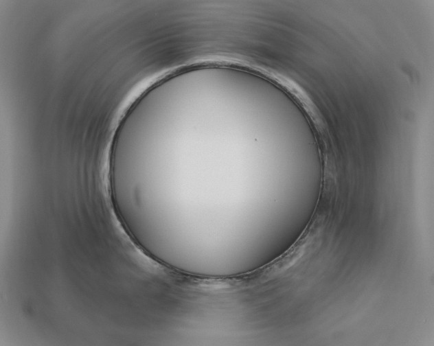 X0000113121199200909181642