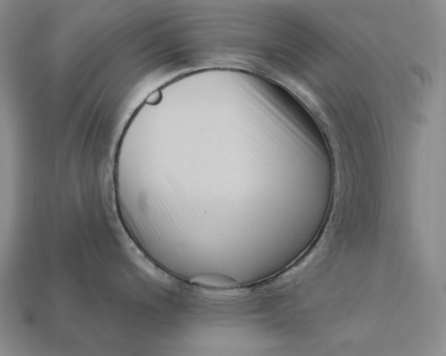 X0000113121200200909181642