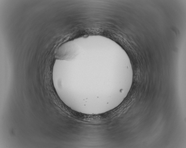 X0000113121201200909181642