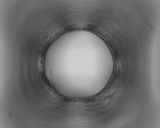 X0000113121202200909181642