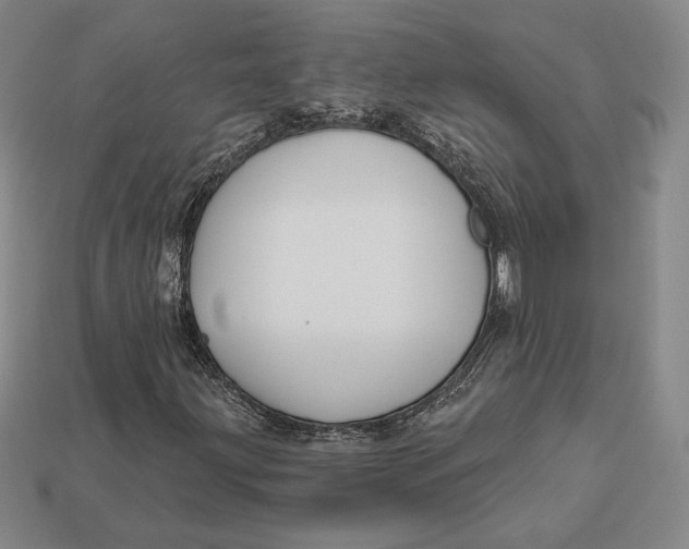 X0000113121203200909181642