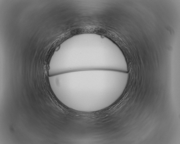 X0000113121204200909181642