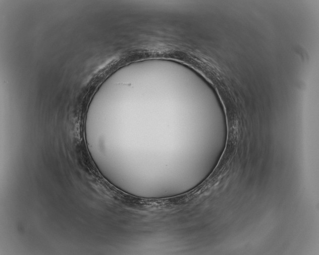 X0000113121205200909181642