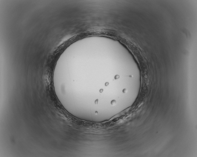 X0000113121206200909181642