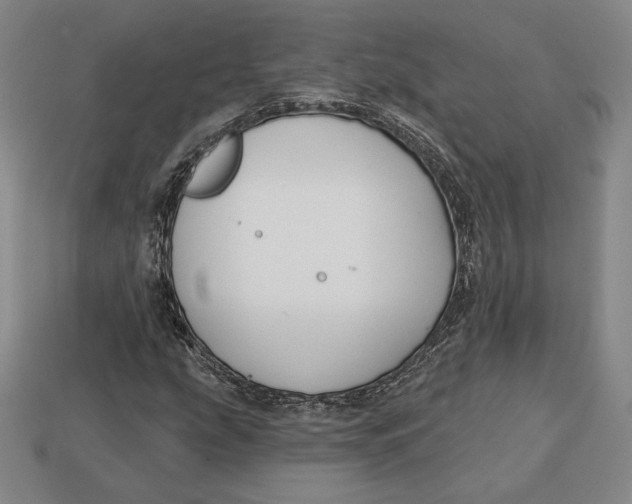 X0000113121207200909181642