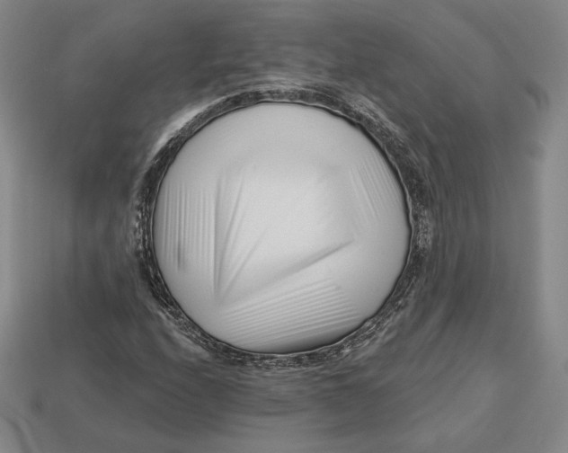 X0000113121208200909181642