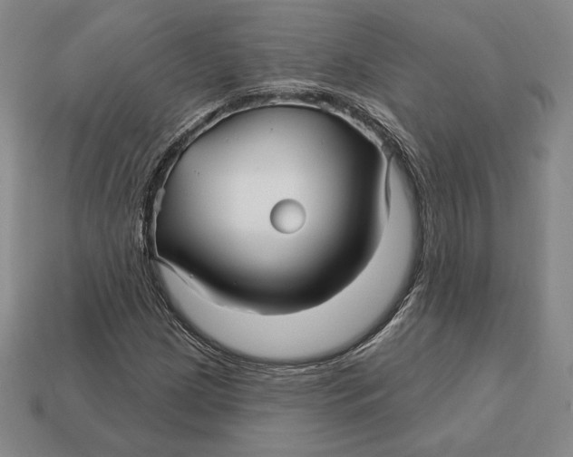 X0000113121209200909181642