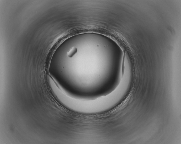 X0000113121210200909181642